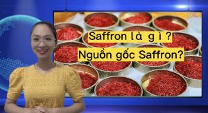 saffron - nhụy hoa nghệ tây- nong nghiep sai gon