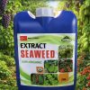 PHÂN BÓN HỮU CƠ EXTRACT – TIMUSEAWEEDTM 500 (THỔ NHĨ KỲ)