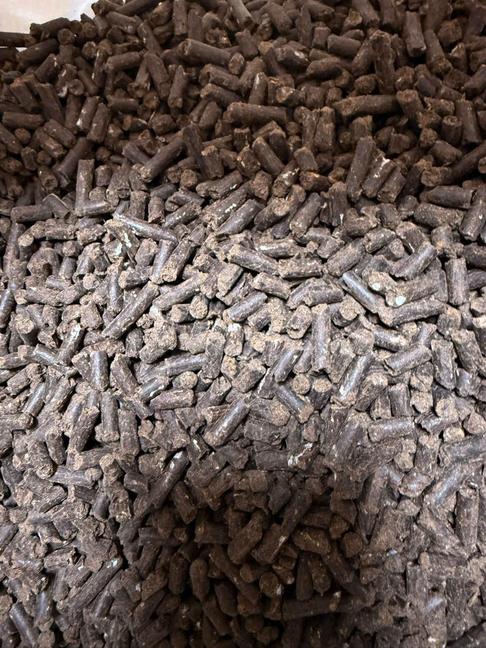 z6736494461718_d453123b1be2f3cb6c4fec9b96a18520