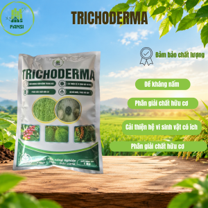 Trichoderma Fansi BIO 1kg – Chế Phẩm Sinh Học Hạn Chế Vàng Lá, Thối Rễ